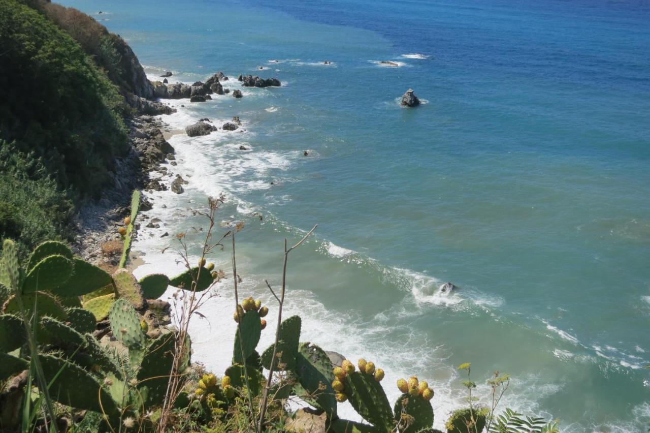 Il Limoneto, vacanze Villa Parghelia Esterno foto