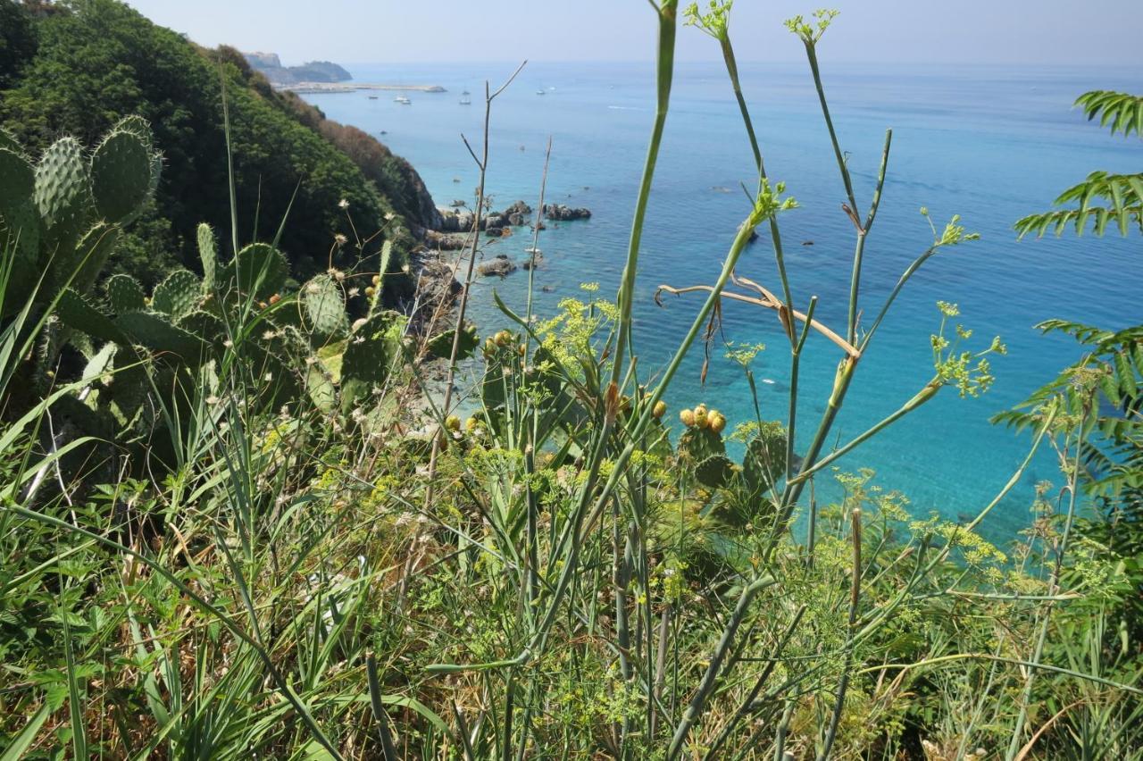 Il Limoneto, vacanze Villa Parghelia Esterno foto