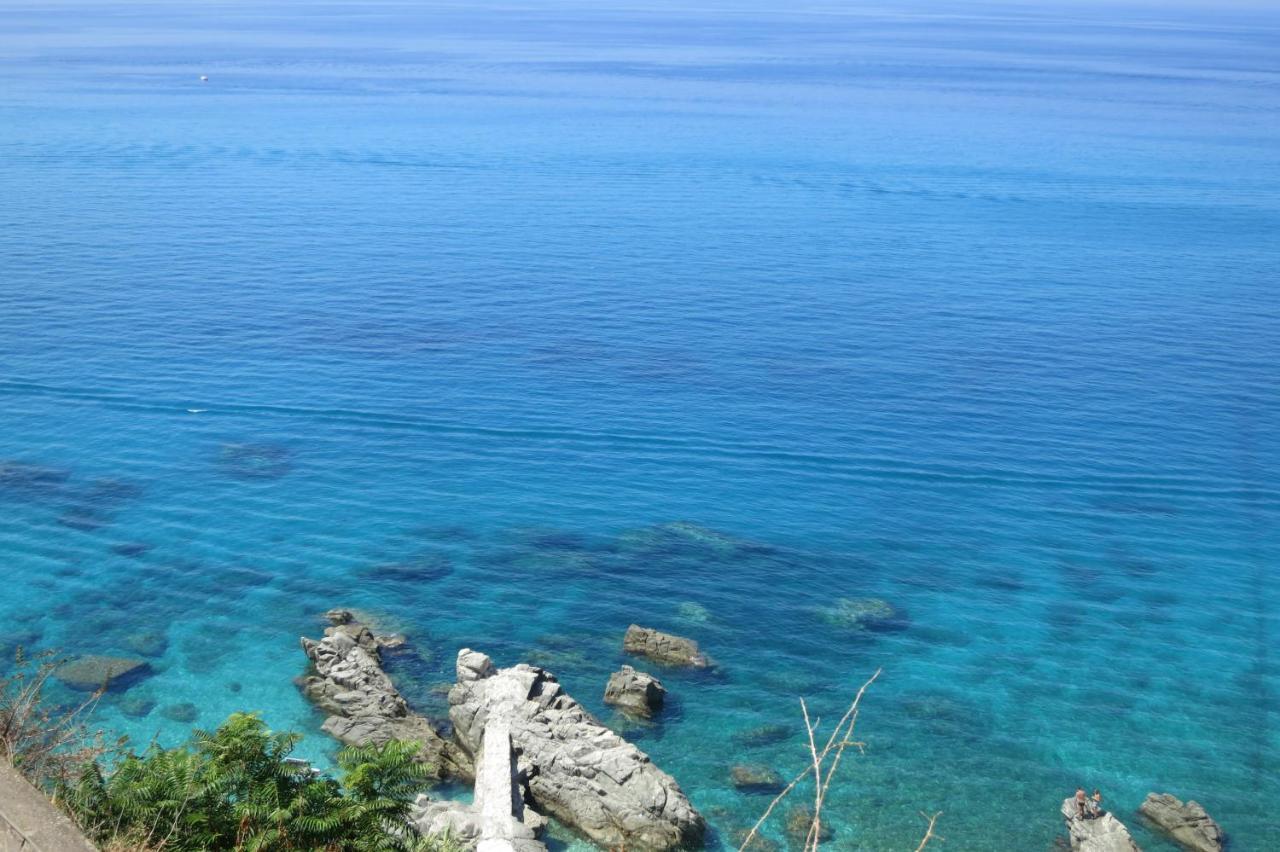 Il Limoneto, vacanze Villa Parghelia Esterno foto